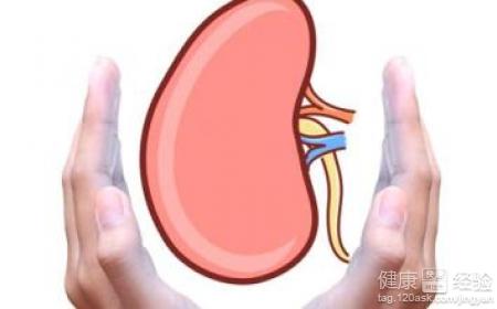 春季居家養腎三妙法推薦