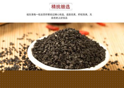 韭菜子的功效是什麼？