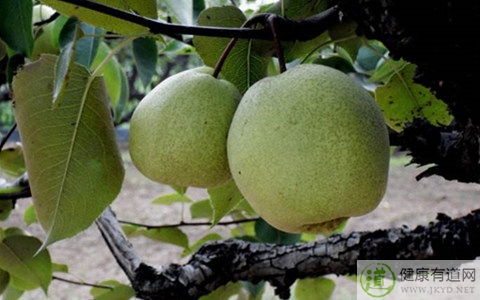 咳嗽吃什麼消炎藥 咳嗽吃什麼消炎藥