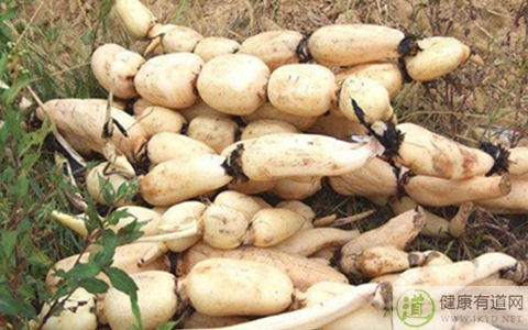 痔瘡手術後注意事項 痔瘡手術後注意事項