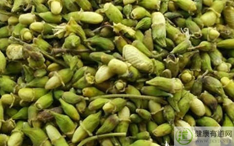 槐米是什麼 槐米是什麼