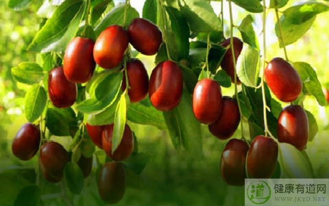 大棗不能和什麼一起吃_大棗和什麼相克 大棗不能和什麼一起吃_大棗和什麼相克