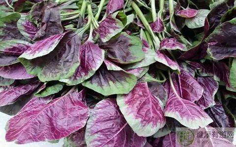 苋菜不能和什麼一起吃_苋菜和什麼相克 苋菜不能和什麼一起吃_苋菜和什麼相克