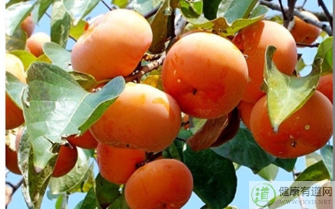 螃蟹的哪些部位不能吃 螃蟹的哪些部位不能吃