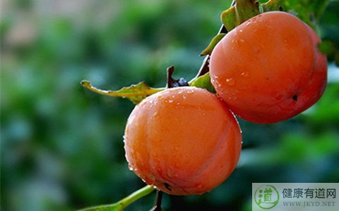 柿子吃多了會胖嗎 柿子吃多了會胖嗎