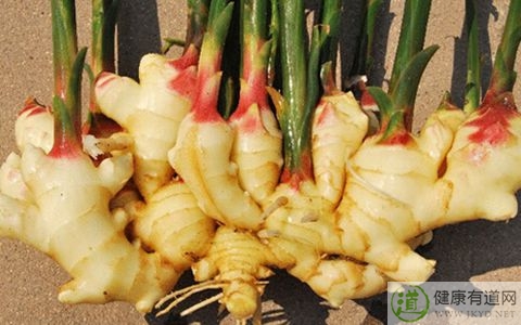 姜不能和什麼一起吃_姜和什麼相克 姜不能和什麼一起吃_姜和什麼相克