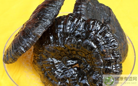 靈芝不能和什麼一起吃_靈芝和什麼相克 靈芝不能和什麼一起吃_靈芝和什麼相克