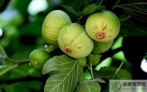 無花果吃多了會怎樣 無花果吃多了會怎樣