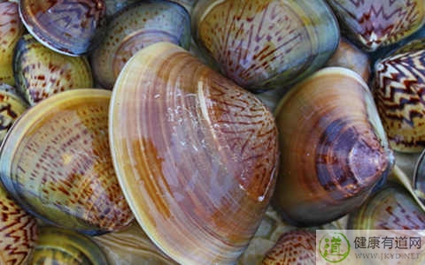 蛤蜊哪些部位不能吃 蛤蜊哪些部位不能吃