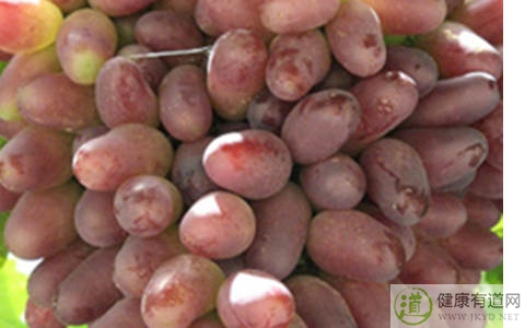 馬奶子不能和什麼一起吃_馬奶子和什麼相克