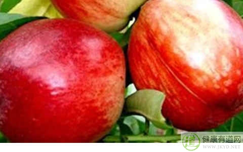 油桃不能和什麼一起吃_油桃和什麼相克 油桃不能和什麼一起吃_油桃和什麼相克