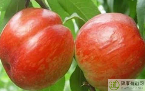 油桃不能和什麼一起吃_油桃和什麼相克 油桃不能和什麼一起吃_油桃和什麼相克