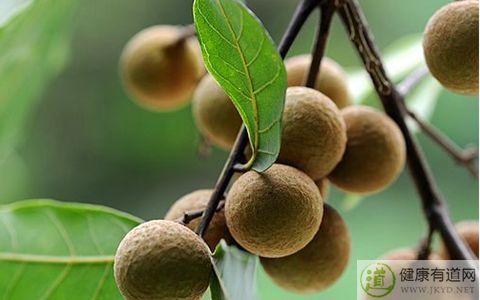 龍眼不能和什麼一起吃_龍眼和什麼相克 龍眼不能和什麼一起吃_龍眼和什麼相克
