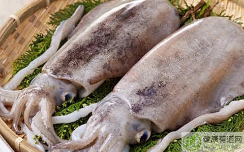 鱿魚不能和什麼一起吃_鱿魚和什麼相克 鱿魚不能和什麼一起吃_鱿魚和什麼相克