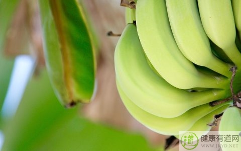 香蕉吃多了會怎樣 香蕉吃多了會怎樣