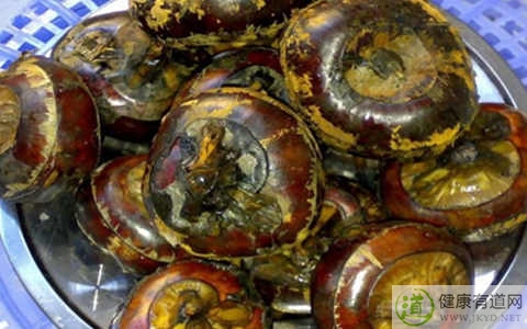 馬蹄不能和什麼一起吃_馬蹄和什麼相克 馬蹄不能和什麼一起吃_馬蹄和什麼相克