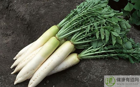 白蘿卜不能和什麼一起吃_白蘿卜和什麼相克 白蘿卜不能和什麼一起吃_白蘿卜和什麼相克