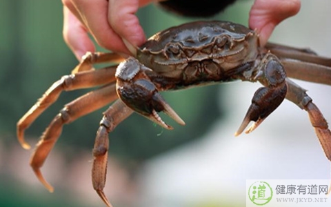 螃蟹不能和什麼一起吃_螃蟹和什麼相克 螃蟹不能和什麼一起吃_螃蟹和什麼相克