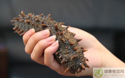 哪些人不適合吃海參 哪些人不適合吃海參