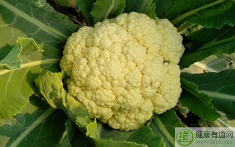 花菜不能和什麼一起吃_花菜和什麼相克 花菜不能和什麼一起吃_花菜和什麼相克
