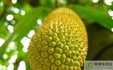 榴蓮不能和什麼一起吃_榴蓮和什麼相克 榴蓮不能和什麼一起吃_榴蓮和什麼相克