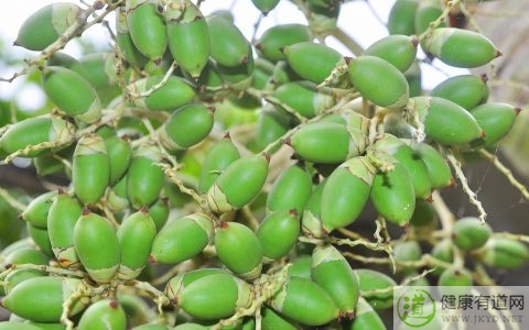 吃槟榔的好處和壞處 吃槟榔的好處和壞處