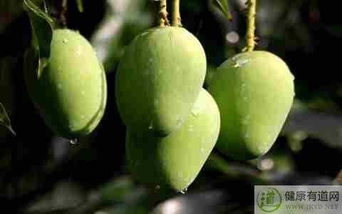 什麼時候不能吃芒果 什麼時候不能吃芒果