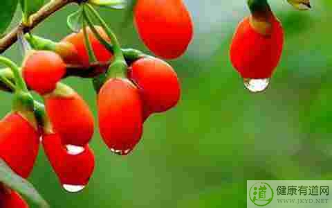 枸杞吃多了會上火嗎 枸杞吃多了會上火嗎