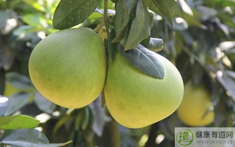 柚子吃多了會胖嗎 柚子吃多了會胖嗎