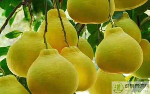 柚子吃多了會怎樣 柚子吃多了會怎樣
