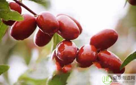 棗吃多了會怎樣 棗吃多了會怎樣