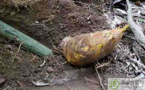 冬季補腎養生粥 冬季補腎養生粥