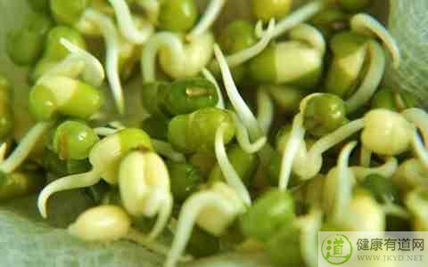 冬天吃什麼人參 冬天吃什麼人參