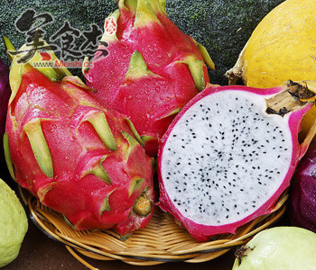 火龍果除了去籽還能怎麼吃?Sf.jpg