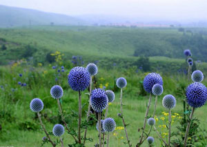 需掌握的戶外防雷措施